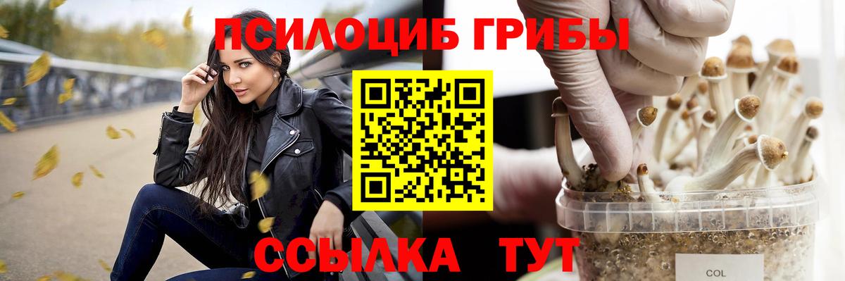 Псилоцибиновые грибы мухоморы  Псилоцибиновые грибы ЛСД  Вход с VPN  Щёлково 